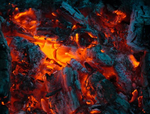 Может ли это нетоксичное решение сделать древесину огнестойкой?